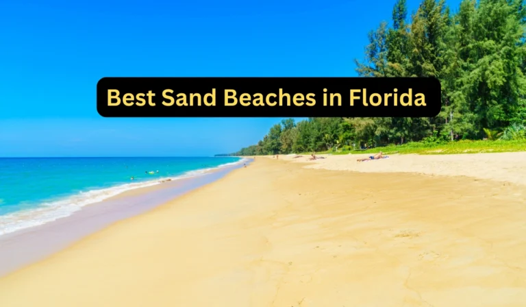 Best Sand Beaches in Florida