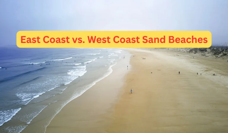 East Coast vs. West Coast Sand Beaches