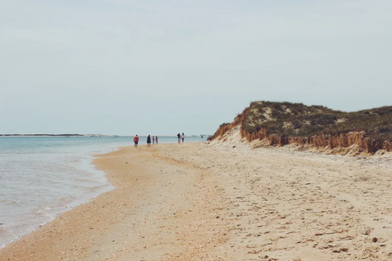 Sand Beaches for Adventure Lovers in the USA
