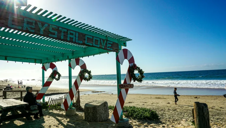 Crystal Cove State Park Beach Guide